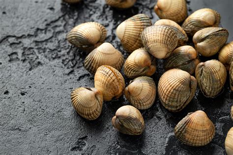 Cuisson des coques : comment cuisiner ce délicat coquillage